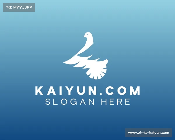 解读kaiyun.com